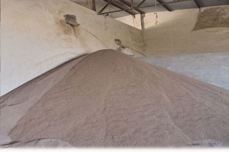 COTTON WITH LYCRA FABRIC